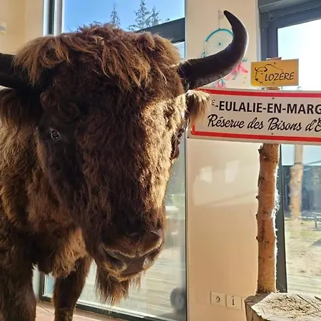 Envie D'un Gros Bol D'air? Louez A La Campagne Apartment La Canourgue